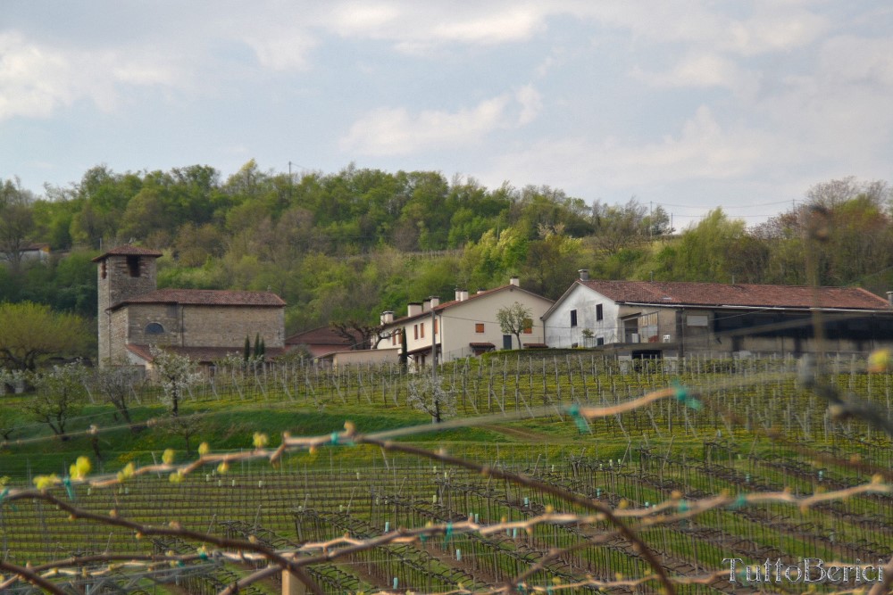Sarego, Chiesa di S.Eusebio, Museo della Civiltà Contadina, Agriturismo-Fattoria Didattica 'Il Rifugio dei Colori'