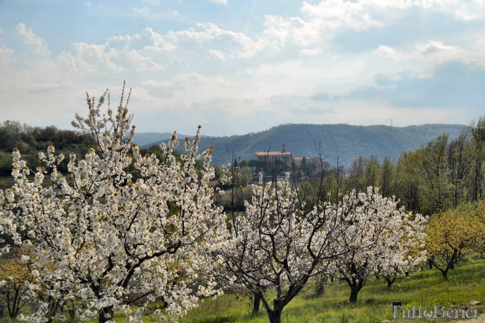 Sarego, Chiesa di S.Eusebio, Museo della Civiltà Contadina, Agriturismo-Fattoria Didattica 'Il Rifugio dei Colori'