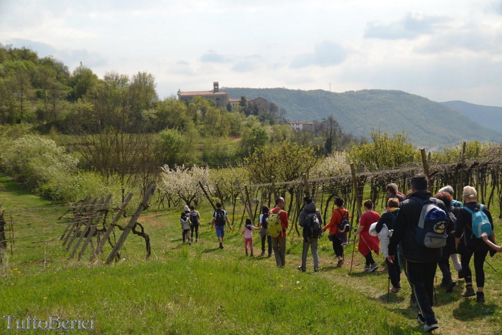 Sarego, Chiesa di S.Eusebio, Museo della Civiltà Contadina, Agriturismo-Fattoria Didattica 'Il Rifugio dei Colori'