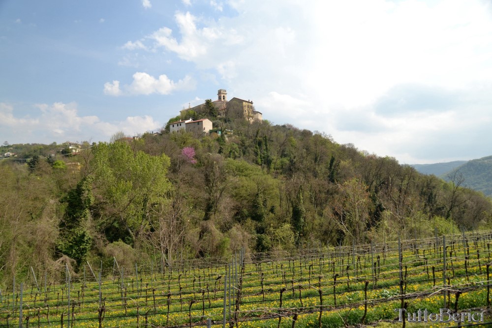Sarego, Chiesa di S.Eusebio, Museo della Civiltà Contadina, Agriturismo-Fattoria Didattica 'Il Rifugio dei Colori'