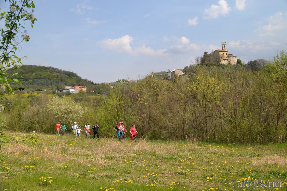 Sarego, Chiesa di S.Eusebio, Museo della Civiltà Contadina, Agriturismo-Fattoria Didattica 'Il Rifugio dei Colori'