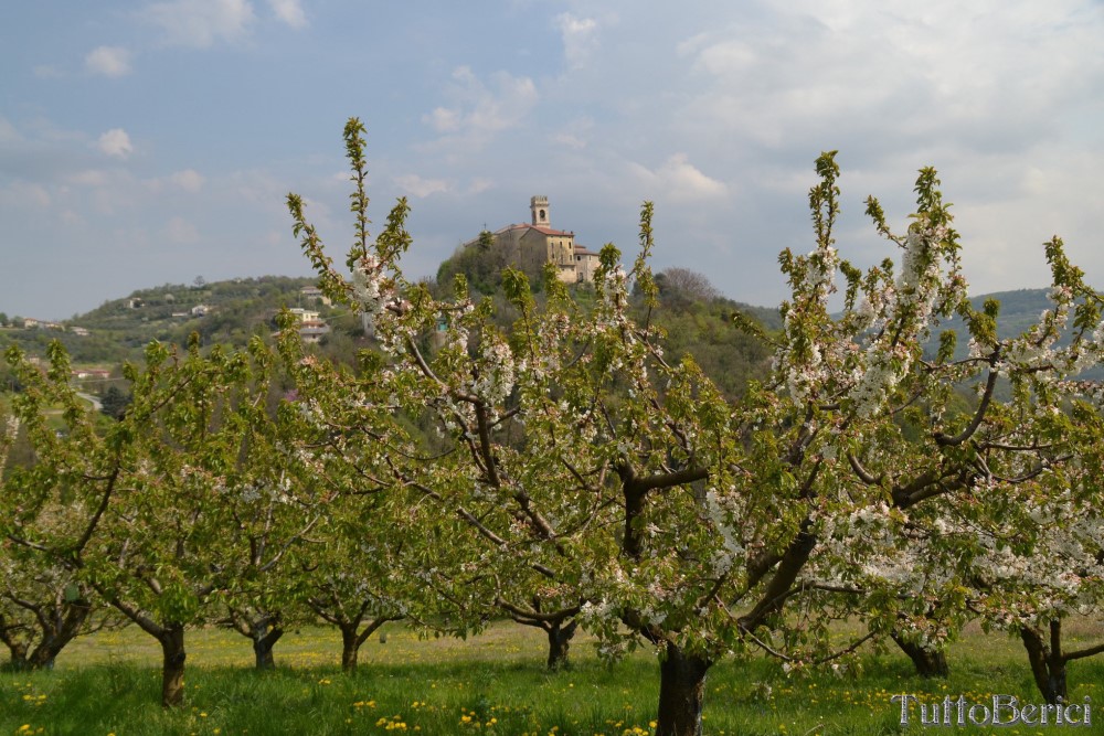 Sarego, Chiesa di S.Eusebio, Museo della Civiltà Contadina, Agriturismo-Fattoria Didattica 'Il Rifugio dei Colori'