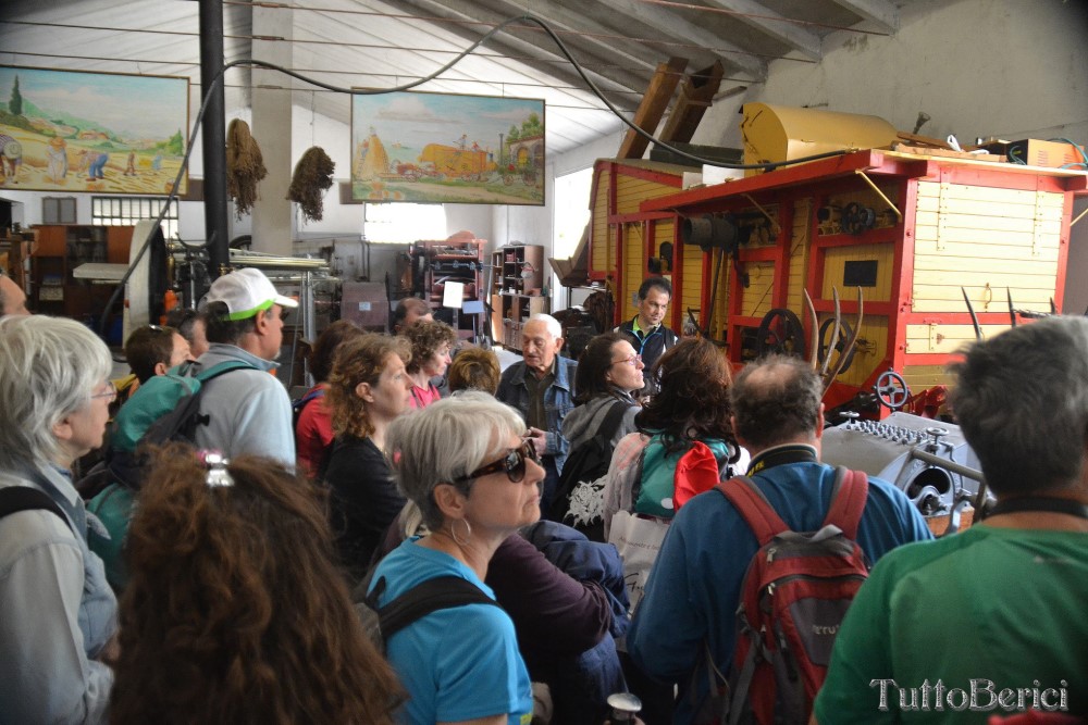 Sarego, Chiesa di S.Eusebio, Museo della Civiltà Contadina, Agriturismo-Fattoria Didattica 'Il Rifugio dei Colori'