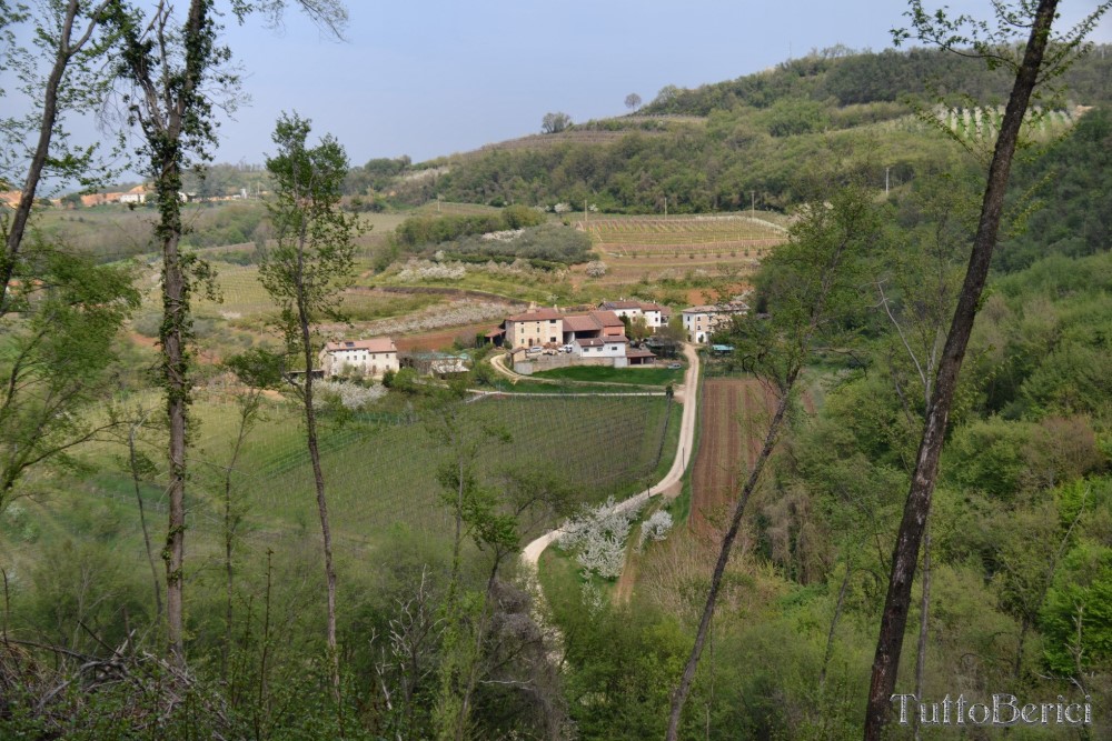 Sarego, Chiesa di S.Eusebio, Museo della Civiltà Contadina, Agriturismo-Fattoria Didattica 'Il Rifugio dei Colori'
