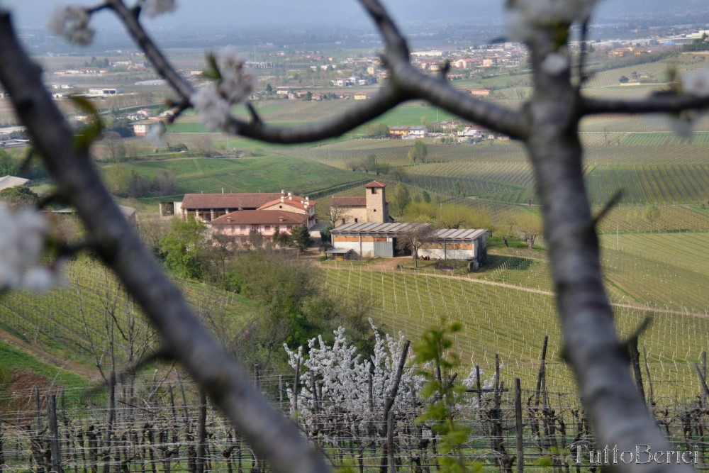 Sarego, Chiesa di S.Eusebio, Museo della Civiltà Contadina, Agriturismo-Fattoria Didattica 'Il Rifugio dei Colori'