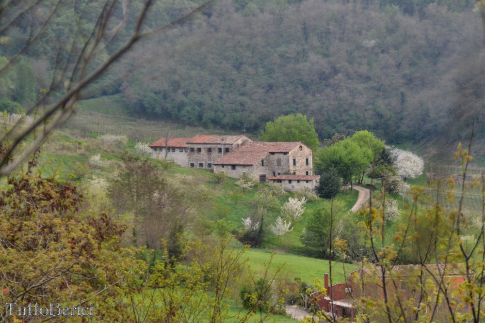 Sarego, Chiesa di S.Eusebio, Museo della Civiltà Contadina, Agriturismo-Fattoria Didattica 'Il Rifugio dei Colori'