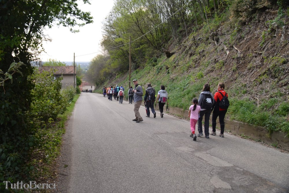 Sarego, Chiesa di S.Eusebio, Museo della Civiltà Contadina, Agriturismo-Fattoria Didattica 'Il Rifugio dei Colori'
