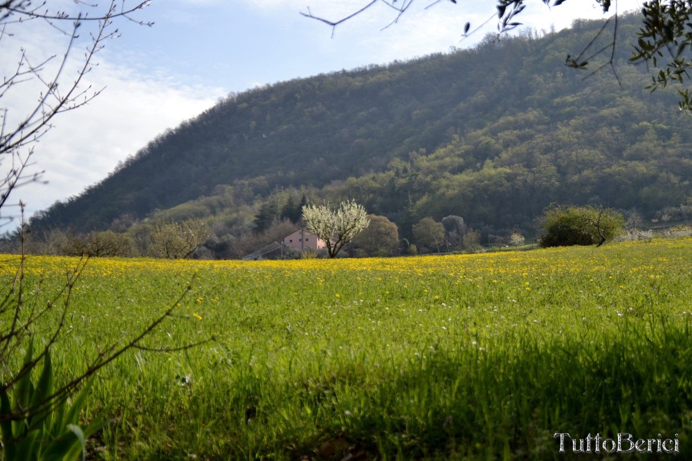 Val Liona, Mulino Dugo-Tessari, Monte Faeo, Monte Lupia, Casotti, Strenghe, Ghenzo, Brustolà, Casalin, mulino Delle Acque-Dalla Grana