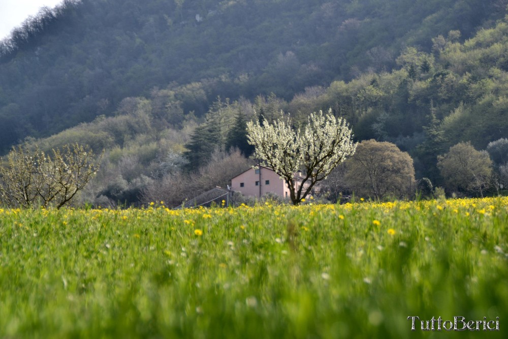 Val Liona, Mulino Dugo-Tessari, Monte Faeo, Monte Lupia, Casotti, Strenghe, Ghenzo, Brustolà, Casalin, mulino Delle Acque-Dalla Grana