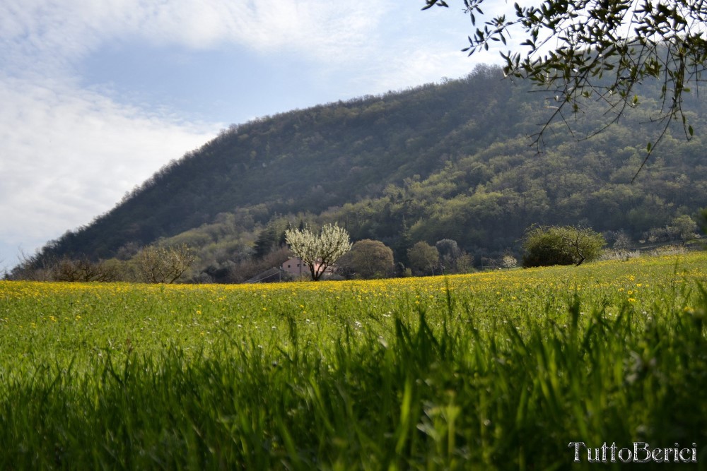 Val Liona, Mulino Dugo-Tessari, Monte Faeo, Monte Lupia, Casotti, Strenghe, Ghenzo, Brustolà, Casalin, mulino Delle Acque-Dalla Grana