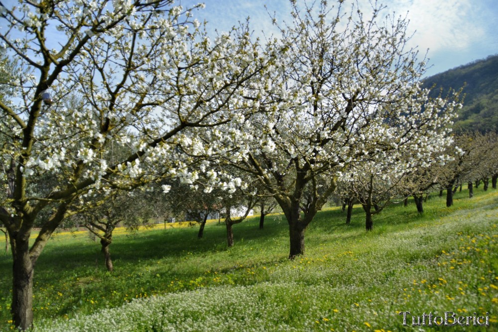 Val Liona, Mulino Dugo-Tessari, Monte Faeo, Monte Lupia, Casotti, Strenghe, Ghenzo, Brustolà, Casalin, mulino Delle Acque-Dalla Grana