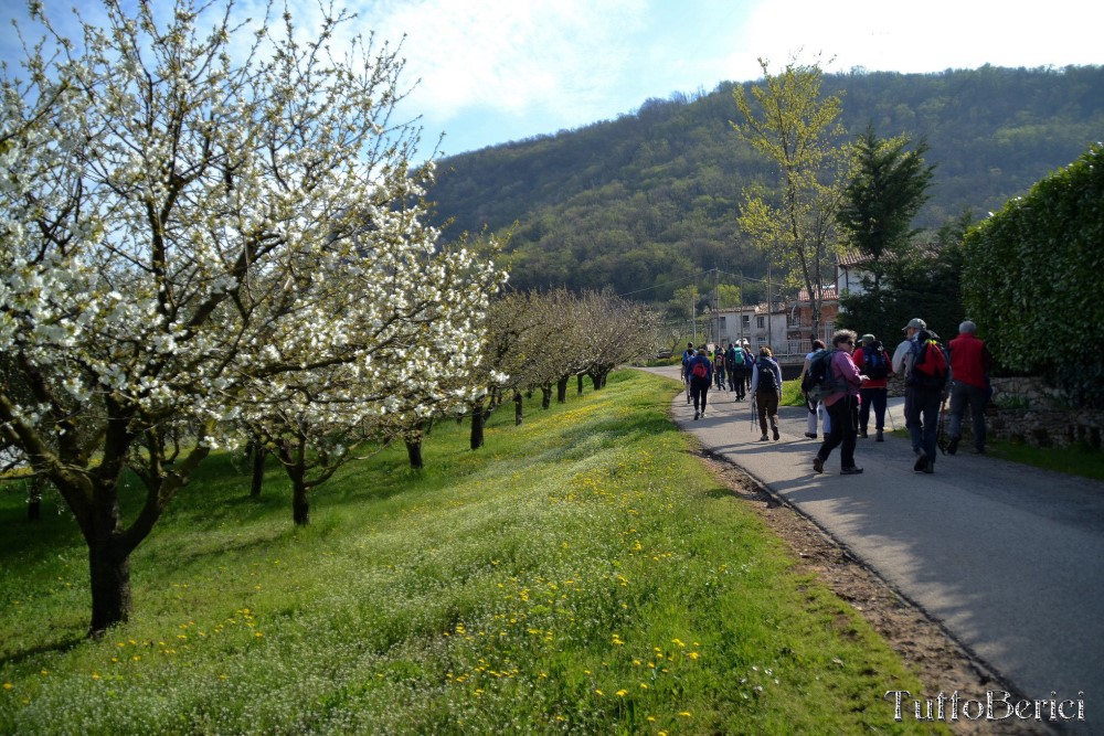 Val Liona, Mulino Dugo-Tessari, Monte Faeo, Monte Lupia, Casotti, Strenghe, Ghenzo, Brustolà, Casalin, mulino Delle Acque-Dalla Grana