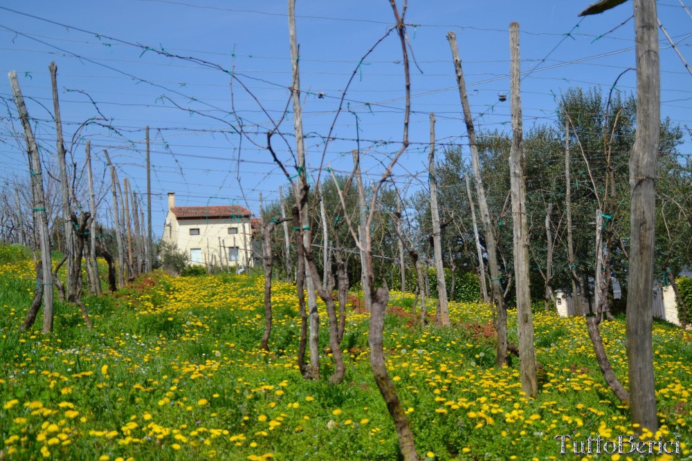 Val Liona, Mulino Dugo-Tessari, Monte Faeo, Monte Lupia, Casotti, Strenghe, Ghenzo, Brustolà, Casalin, mulino Delle Acque-Dalla Grana