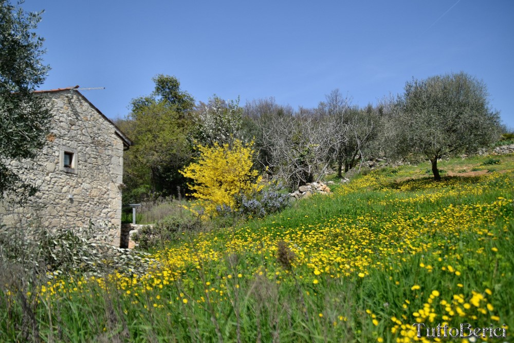 Val Liona, Mulino Dugo-Tessari, Monte Faeo, Monte Lupia, Casotti, Strenghe, Ghenzo, Brustolà, Casalin, mulino Delle Acque-Dalla Grana