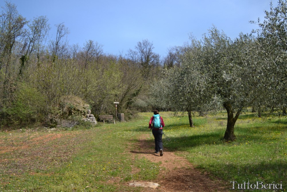 Val Liona, Mulino Dugo-Tessari, Monte Faeo, Monte Lupia, Casotti, Strenghe, Ghenzo, Brustolà, Casalin, mulino Delle Acque-Dalla Grana