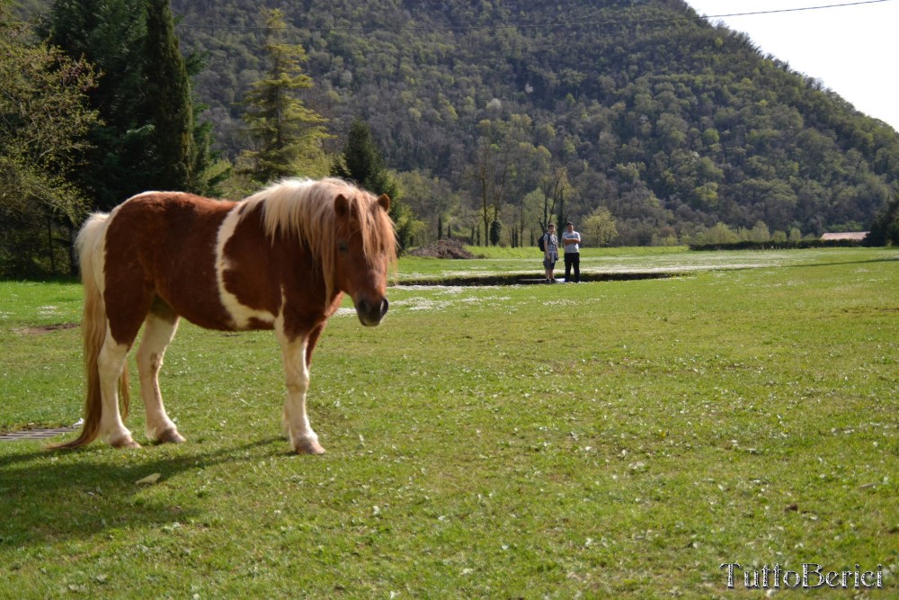 Val Liona, Mulino Dugo-Tessari, Monte Faeo, Monte Lupia, Casotti, Strenghe, Ghenzo, Brustolà, Casalin, mulino Delle Acque-Dalla Grana