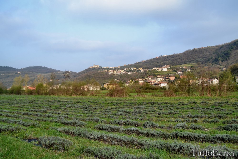 Val Liona, Mulino Dugo-Tessari, Monte Faeo, Monte Lupia, Casotti, Strenghe, Ghenzo, Brustolà, Casalin, mulino Delle Acque-Dalla Grana