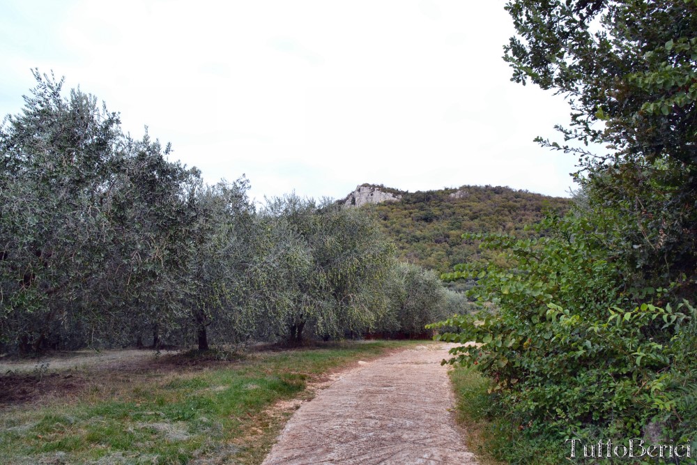 Barbarano Mossano, Cengia, Monte della Cengia, S.Giovanni, Scudellette, Monte Tondo