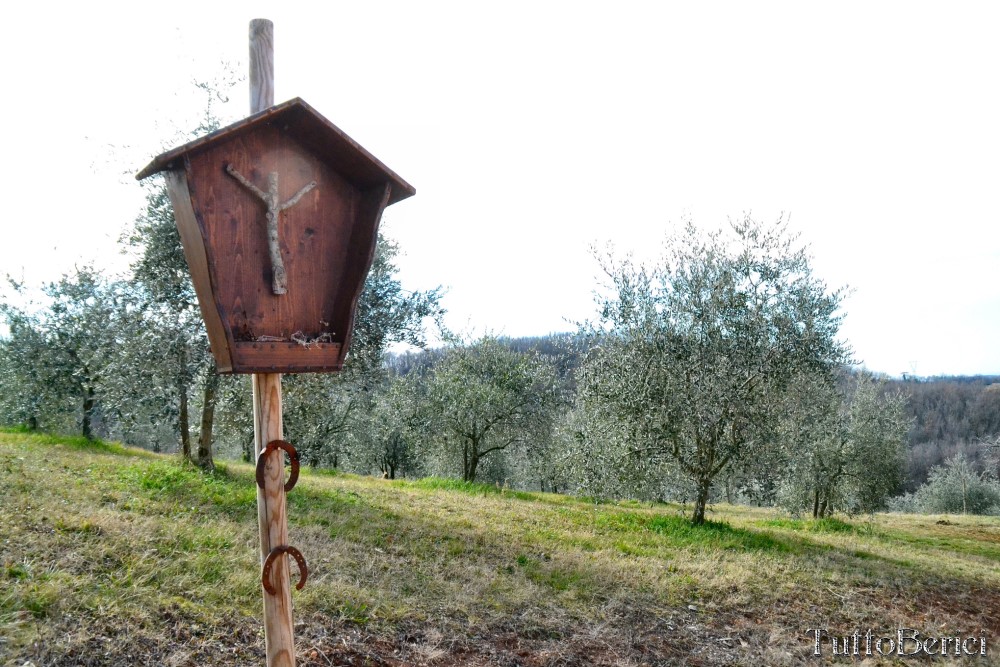 Barbarano Mossano, Cengia, Monte della Cengia, S.Giovanni, Scudellette, Monte Tondo