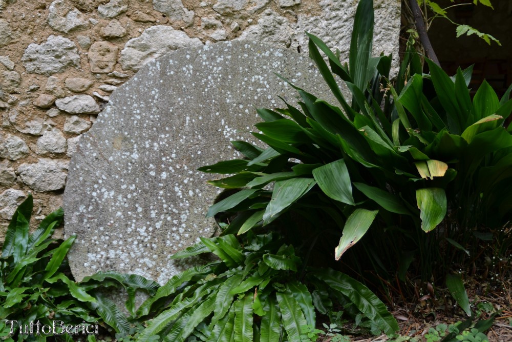 Barbarano Mossano, Cengia, Monte della Cengia, S.Giovanni, Scudellette, Monte Tondo