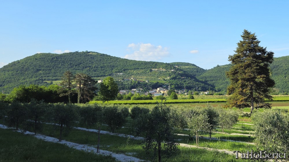 Villa-Priuli-Crisanti05